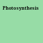 Photosynthesis