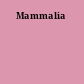 Mammalia