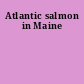 Atlantic salmon in Maine