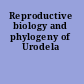 Reproductive biology and phylogeny of Urodela