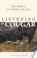 Listening to cougar /