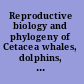 Reproductive biology and phylogeny of Cetacea whales, dolphins, and porpoises /