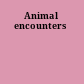 Animal encounters