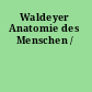 Waldeyer Anatomie des Menschen /