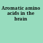 Aromatic amino acids in the brain