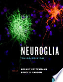 Neuroglia /