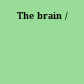 The brain /