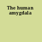 The human amygdala