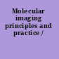 Molecular imaging principles and practice /