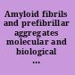 Amyloid fibrils and prefibrillar aggregates molecular and biological properties /