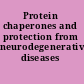 Protein chaperones and protection from neurodegenerative diseases