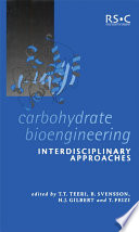 Carbohydrate bioengineering interdisciplinary approaches /