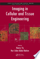 Imaging in cellular and tissue engineering