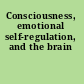 Consciousness, emotional self-regulation, and the brain