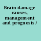Brain damage causes, management and prognosis /