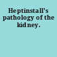 Heptinstall's pathology of the kidney.