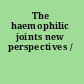 The haemophilic joints new perspectives /