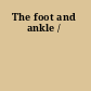 The foot and ankle /