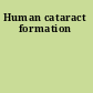 Human cataract formation