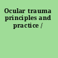Ocular trauma principles and practice /