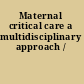 Maternal critical care a multidisciplinary approach /