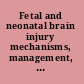 Fetal and neonatal brain injury mechanisms, management, and the risks of practice /