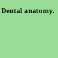 Dental anatomy.