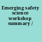 Emerging safety science workshop summary /