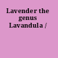 Lavender the genus Lavandula /