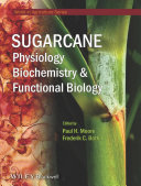 Sugarcane : physiology, biochemistry, and functional biology /