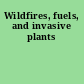 Wildfires, fuels, and invasive plants