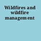 Wildfires and wildfire management