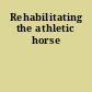 Rehabilitating the athletic horse