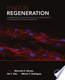 Tendon regeneration : understanding tissue physiology and development to engineer functional substitutes /
