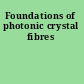 Foundations of photonic crystal fibres