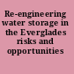 Re-engineering water storage in the Everglades risks and opportunities /
