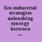 Eco-industrial strategies unleashing synergy between economic development and the environment /