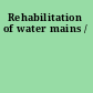Rehabilitation of water mains /