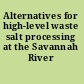 Alternatives for high-level waste salt processing at the Savannah River Site