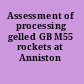 Assessment of processing gelled GB M55 rockets at Anniston