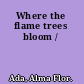 Where the flame trees bloom /