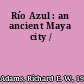 Río Azul : an ancient Maya city /