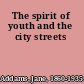 The spirit of youth and the city streets