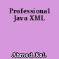 Professional Java XML