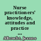 Nurse practitioners' knowledge, attitudes and practice of research utilization /