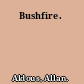 Bushfire.