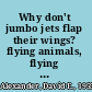 Why don't jumbo jets flap their wings? flying animals, flying machines, and how they are different /