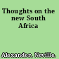 Thoughts on the new South Africa