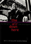 The air down here : true tales from a South Bronx boyhood /