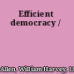 Efficient democracy /